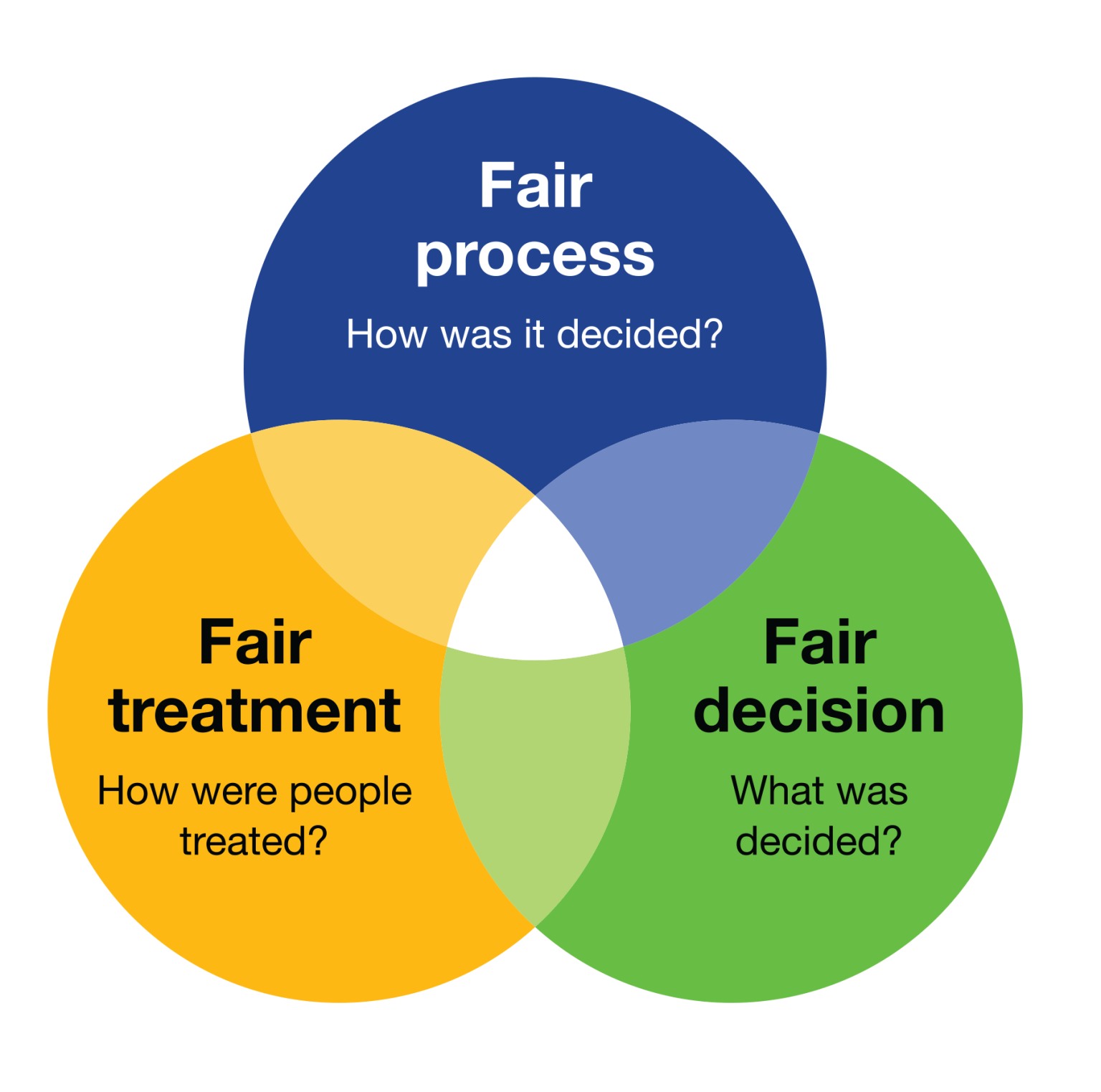 Our Fairness Lens – Ombudsman Toronto