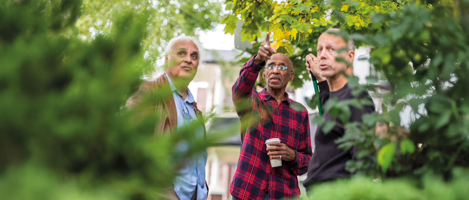 Three men standing in front of a tree, pointing out a concern.